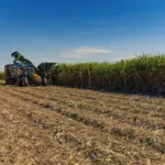 Imagem ilustrativa: Divulgação 