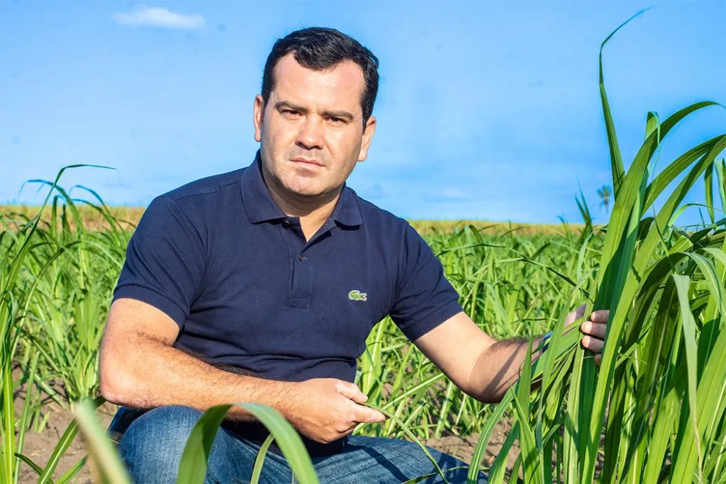 Imagem: Divulgação Imagem: Divulgação