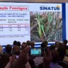 O que é preciso fazer para melhorar a saúde dos canaviais, segundo Márcia Mutton