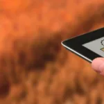 Imagem: Divulgação 