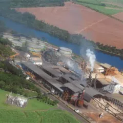 Como o Grupo Colombo cresceu na safra 24/25 e está pronto para crescer ainda mais