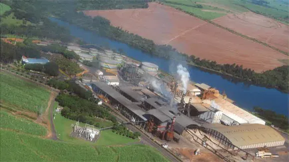 Como o Grupo Colombo cresceu na safra 24/25 e está pronto para crescer ainda mais