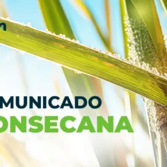 UNICA convoca assembleia do CONSECANA