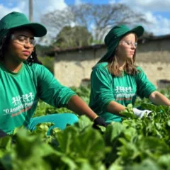 Como a Cooperativa Pindorama investe em  ações de preservação