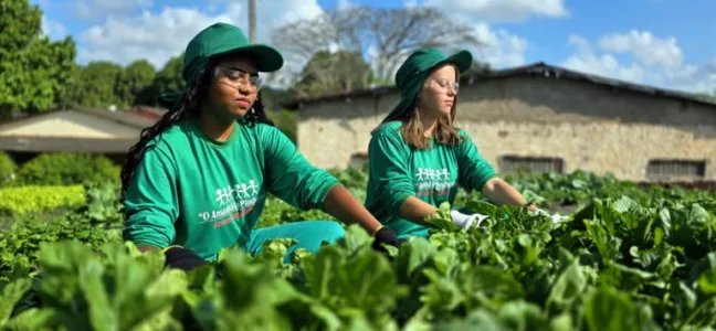 Como a Cooperativa Pindorama investe em  ações de preservação