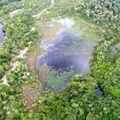 Projeto será desenvolvido na Reserva Particular do Patrimônio Natural (RPPN) Porto Cajueiro, localizada no município de Januária (MG)