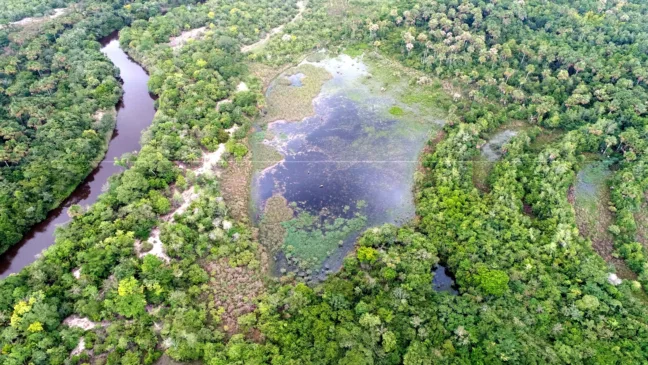 Projeto será desenvolvido na Reserva Particular do Patrimônio Natural (RPPN) Porto Cajueiro, localizada no município de Januária (MG)