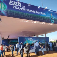 Syngenta apresenta inovações para o futuro da cana-de-açúcar em evento exclusivo