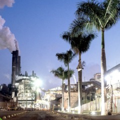 Pedra Agroindustrial divulga demonstrações financeiras; saiba aqui os detalhes