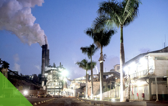 Pedra Agroindustrial divulga demonstrações financeiras; saiba aqui os detalhes