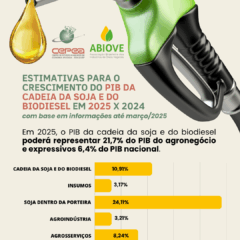 Por que o PIB da cadeia da soja e do biodiesel deve ter forte expansão em 2025