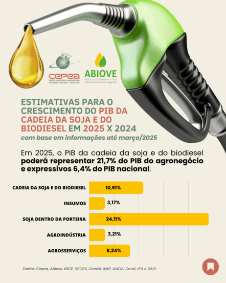 Por que o PIB da cadeia da soja e do biodiesel deve ter forte expansão em 2025