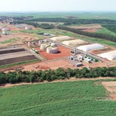 Biometano: São Paulo lança consulta pública para criação de certificado de garantia de origem
