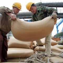China tende a importar mais açúcar, entenda o motivo