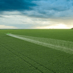 Inpasa impulsiona industrialização no Oeste da Bahia