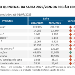 Por que a moagem de cana segue em baixa nas usinas do Centro-Sul