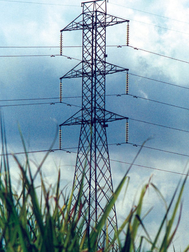 Novo decreto de leilão do MME precisa contar com a contribuição do setor sucroenergético  