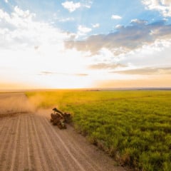 A nova corrida verde: o avanço da demanda por matérias-primas certificadas para biocombustíveis 