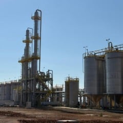12 destaques da usina de etanol de trigo que deve iniciar as operações em agosto