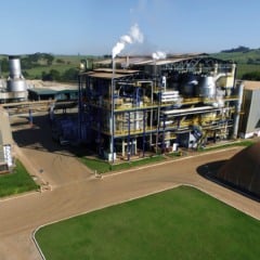 CRV Industrial supera desafios climáticos e cresce na produção de açúcar