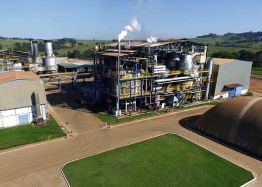 CRV Industrial supera desafios climáticos e cresce na produção de açúcar