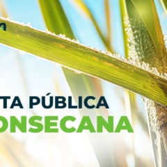 UNICA divulga nota sobre o Consecana; leia
