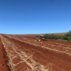 O futuro promissor das bioenergias emergentes e o protagonismo na Fenasucro & Agrocana 