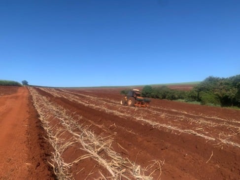 O futuro promissor das bioenergias emergentes e o protagonismo na Fenasucro & Agrocana 