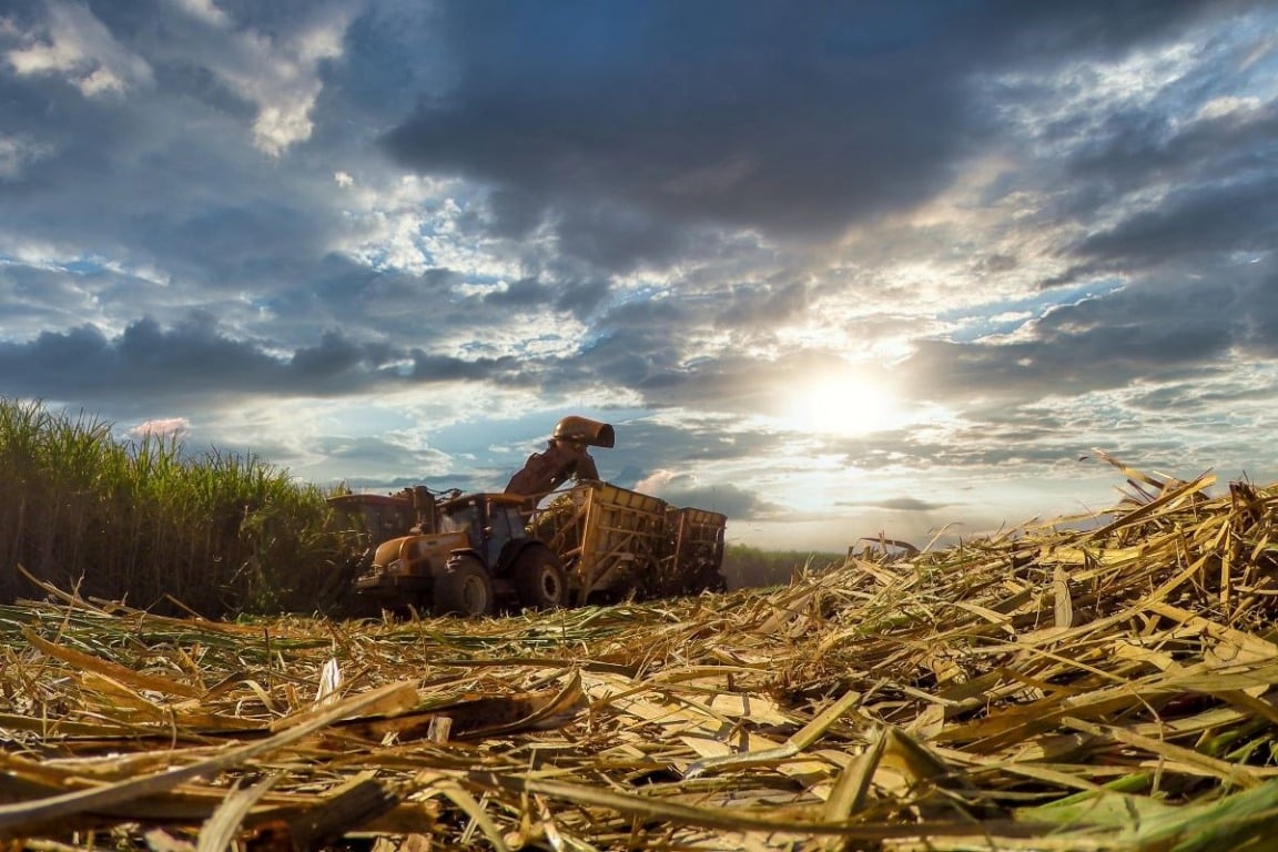 Ex-Cargill assume diretoria financeira de tradicional companhia de bioenergia