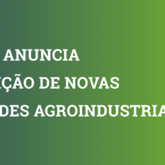 Com a compra de usinas, moagem da Cocal deve crescer 6 milhões de toneladas