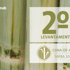 14 destaques (positivos e negativos) da  Conab sobre a safra de cana 2025/26