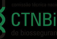 Organismo geneticamente modificado tem aval para liberação
