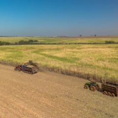 O que a Tereos descobriu na agricultura regenerativa que está mudando seus resultados?