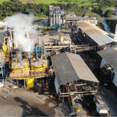 Usina tradicional de Alagoas deverá iniciar a safra no começo de setembro