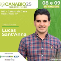 A Tereos descobriu a fórmula da resiliência na cana?