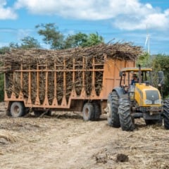 Produtores de cana da Paraíba estão preocupados com baixo preço da tonelada