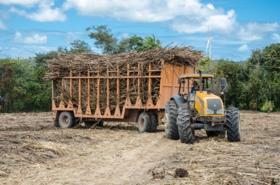 Produtores de cana da Paraíba estão preocupados com baixo preço da tonelada