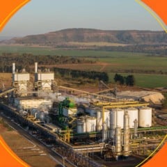 Atvos e NetZero irão desenvolver projeto de biochar em Goiás