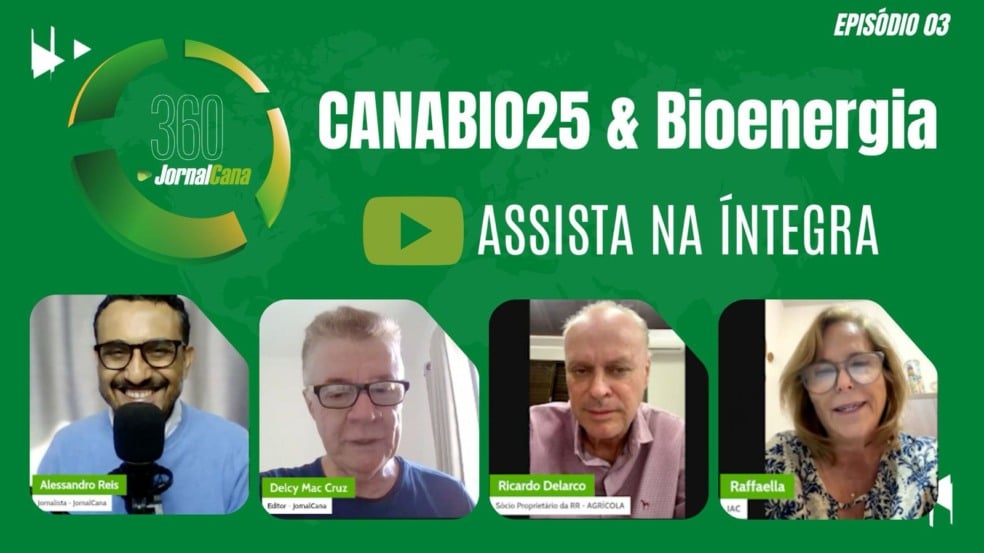 Como transformar o solo em fonte de produtividade e regeneração?