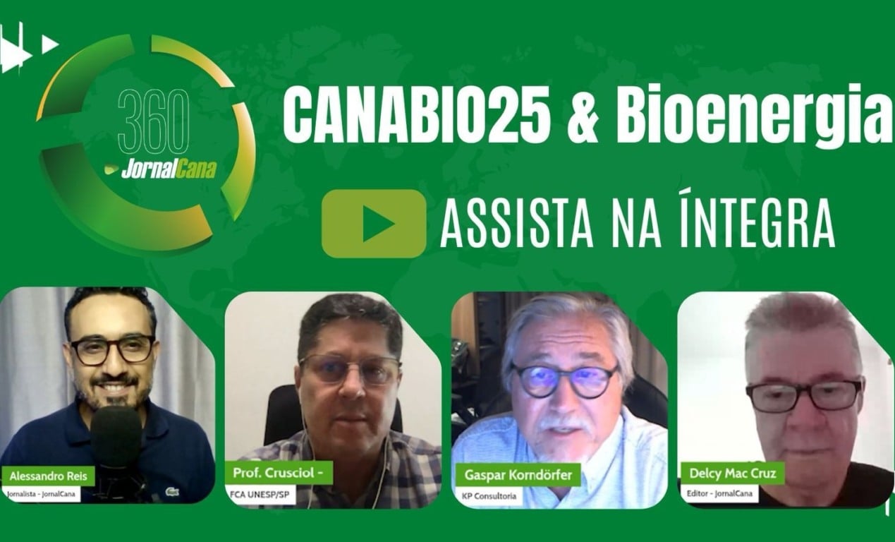 Fixação biológica e solo vivo: a dupla da produtividade regenerativa