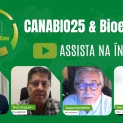 Fixação biológica e solo vivo: a dupla da produtividade regenerativa