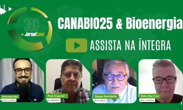 Fixação biológica e solo vivo: a dupla da produtividade regenerativa
