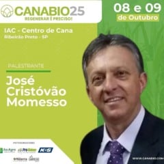 Raízes profundas, produtividade no topo: a receita da cana regenerativa