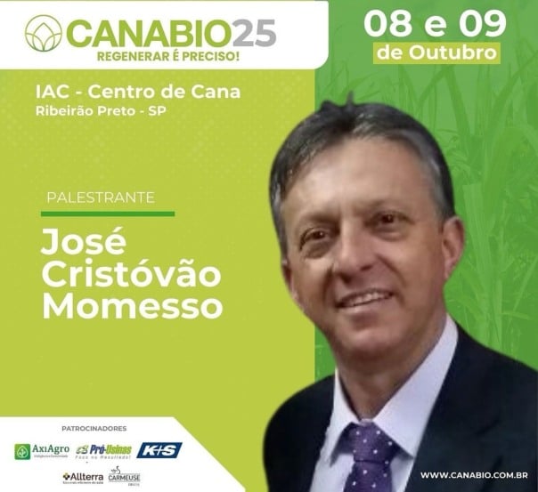 Raízes profundas, produtividade no topo: a receita da cana regenerativa