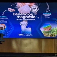 Durante o evento, a Caltec apresentou os resultados do Sistema Hidratec Clarisina®, tecnologia que vem transformando o desempenho fermentativo nas usinas