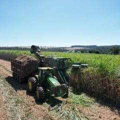 Imagem: Divulgação 