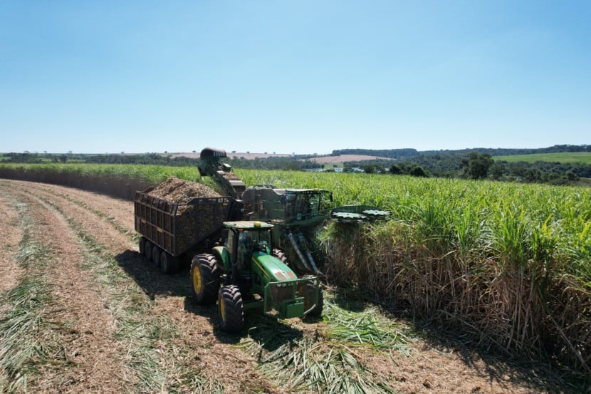 Imagem: Divulgação  Imagem: Divulgação