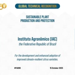 IAC conquista dois reconhecimentos internacionais, inclusive da FAO