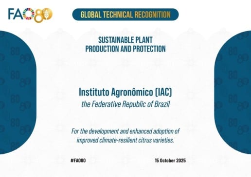 IAC conquista dois reconhecimentos internacionais, inclusive da FAO IAC conquista dois reconhecimentos internacionais, inclusive da FAO