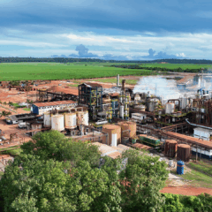 Pagrisa é homologada como autoprodutora de energia elétrica a partir de biomassa